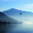 Schoene Aussichten Touristik_Zug Toursimus_Zugersee1